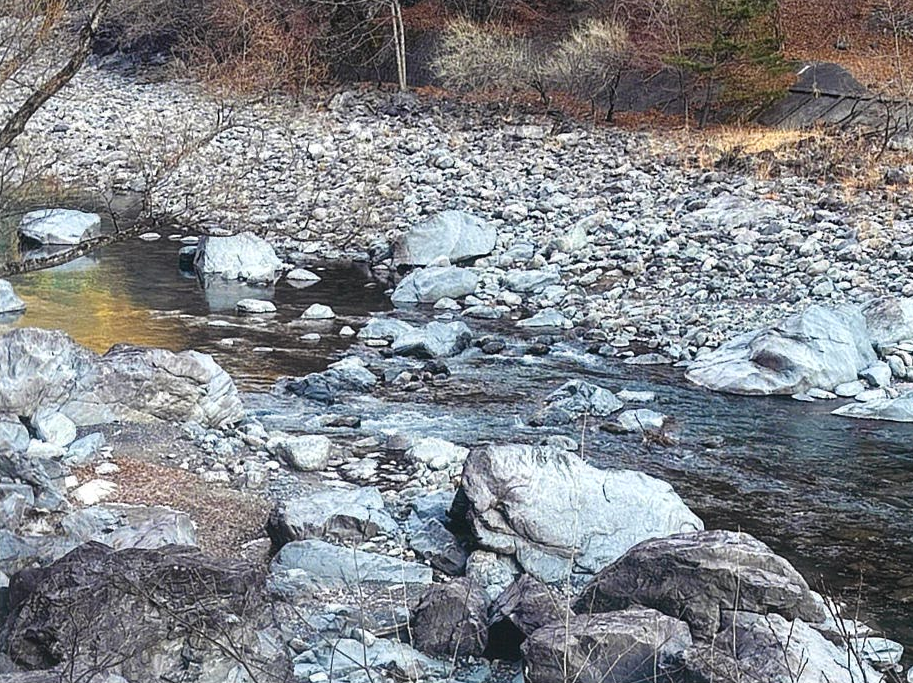 井川漁協_釣り場画像