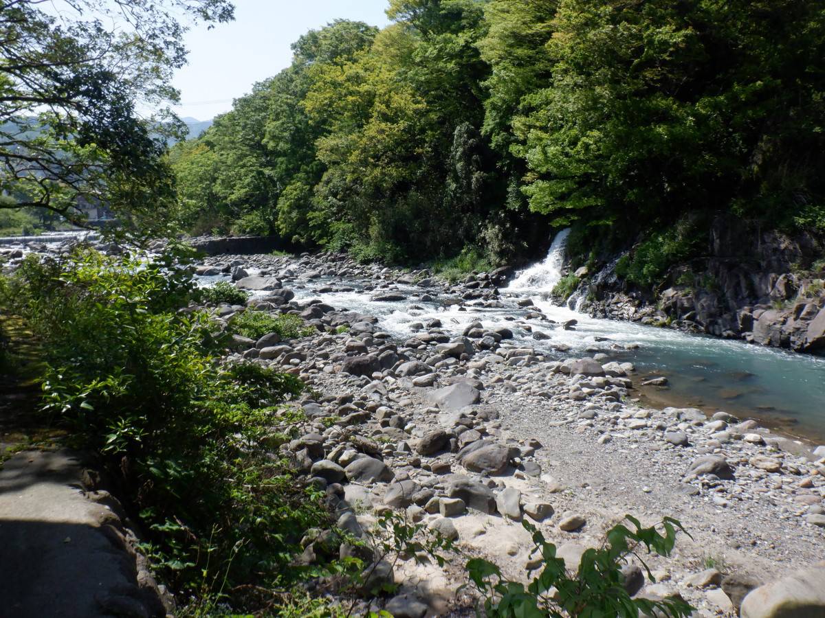 吊橋上流