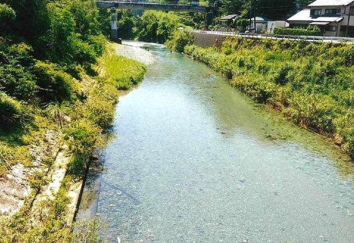 阿多古川釣り場2-3