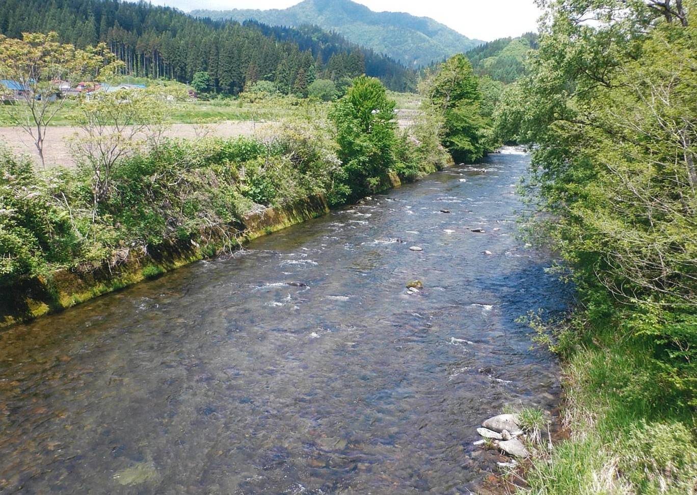 早口川上流高岨付近