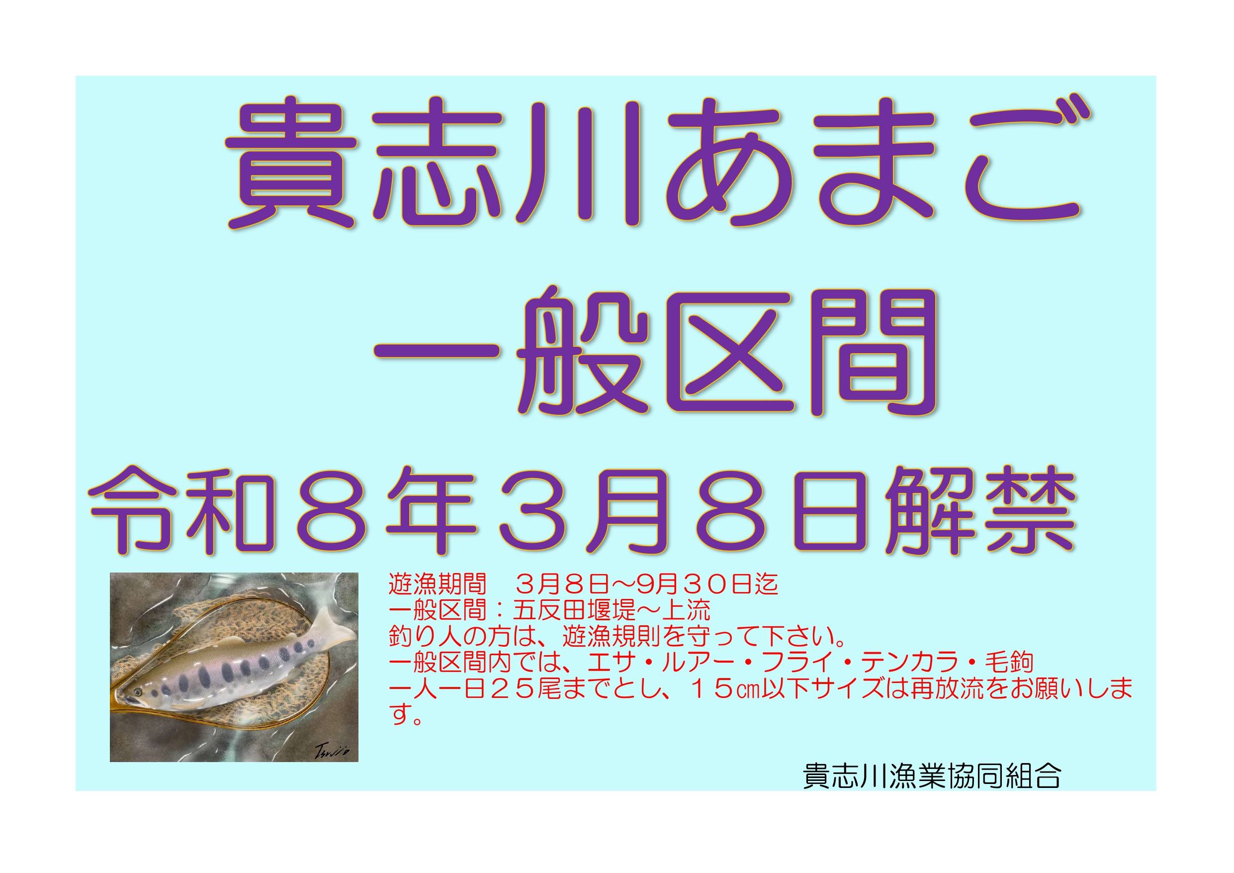 貴志川アマゴ一般解禁 2026年