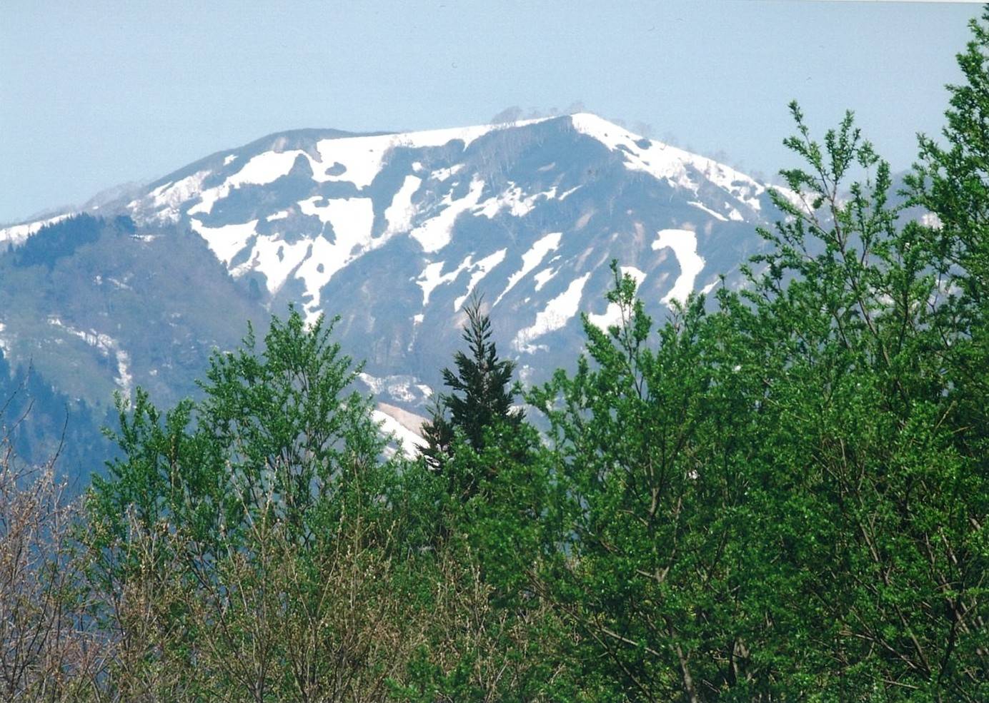 県立自然公園田代岳（高層湿原）田代岳1178ｍ