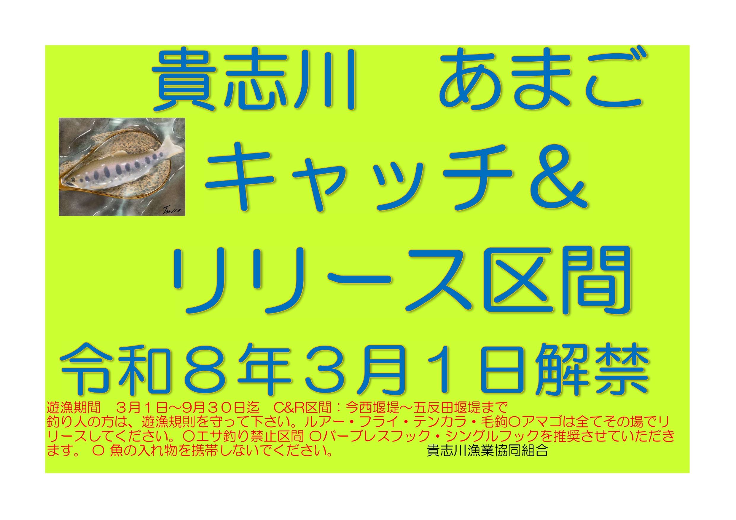 貴志川アマゴC&R区間解禁 2026年