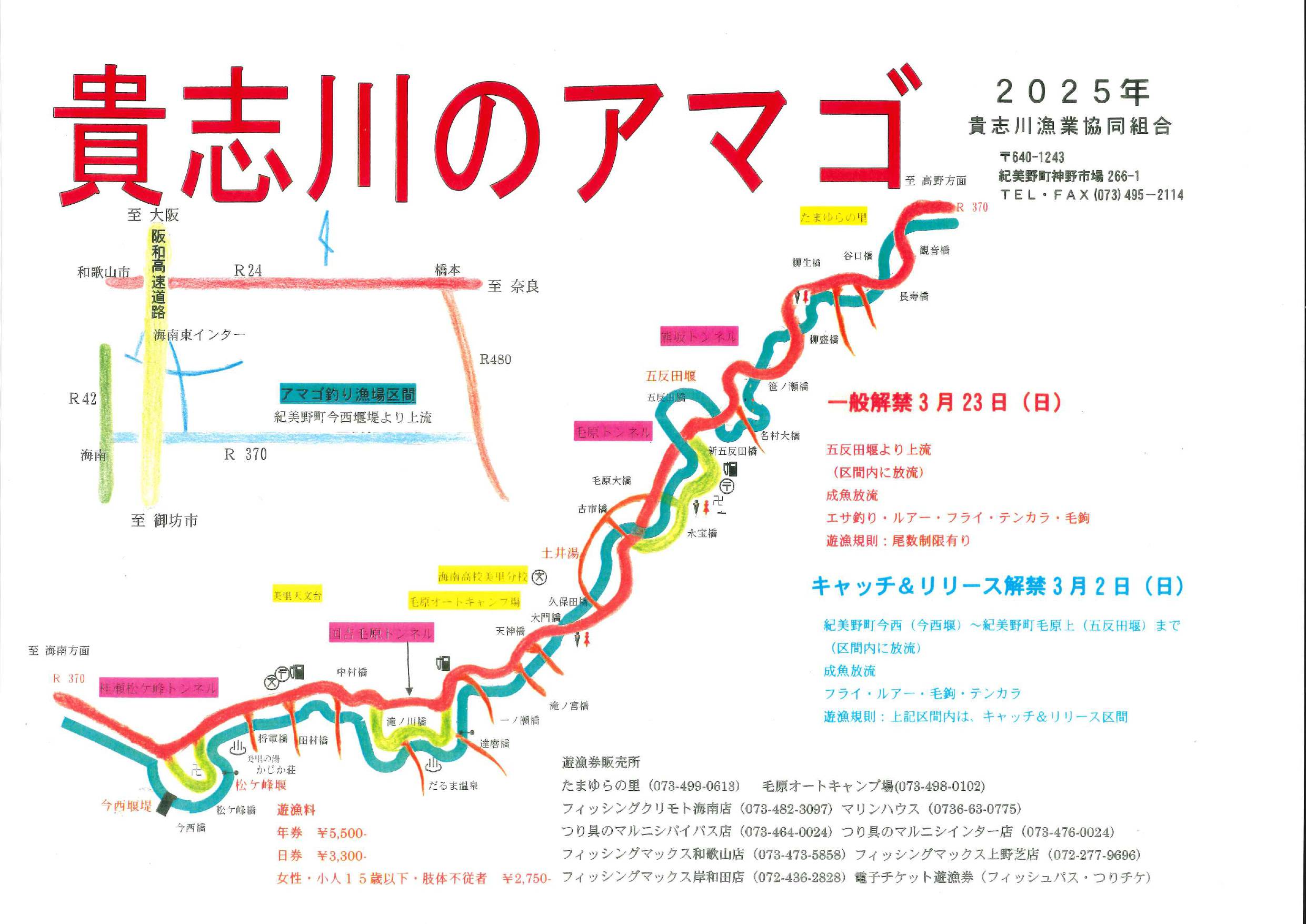貴志川のアマゴ（2025年）