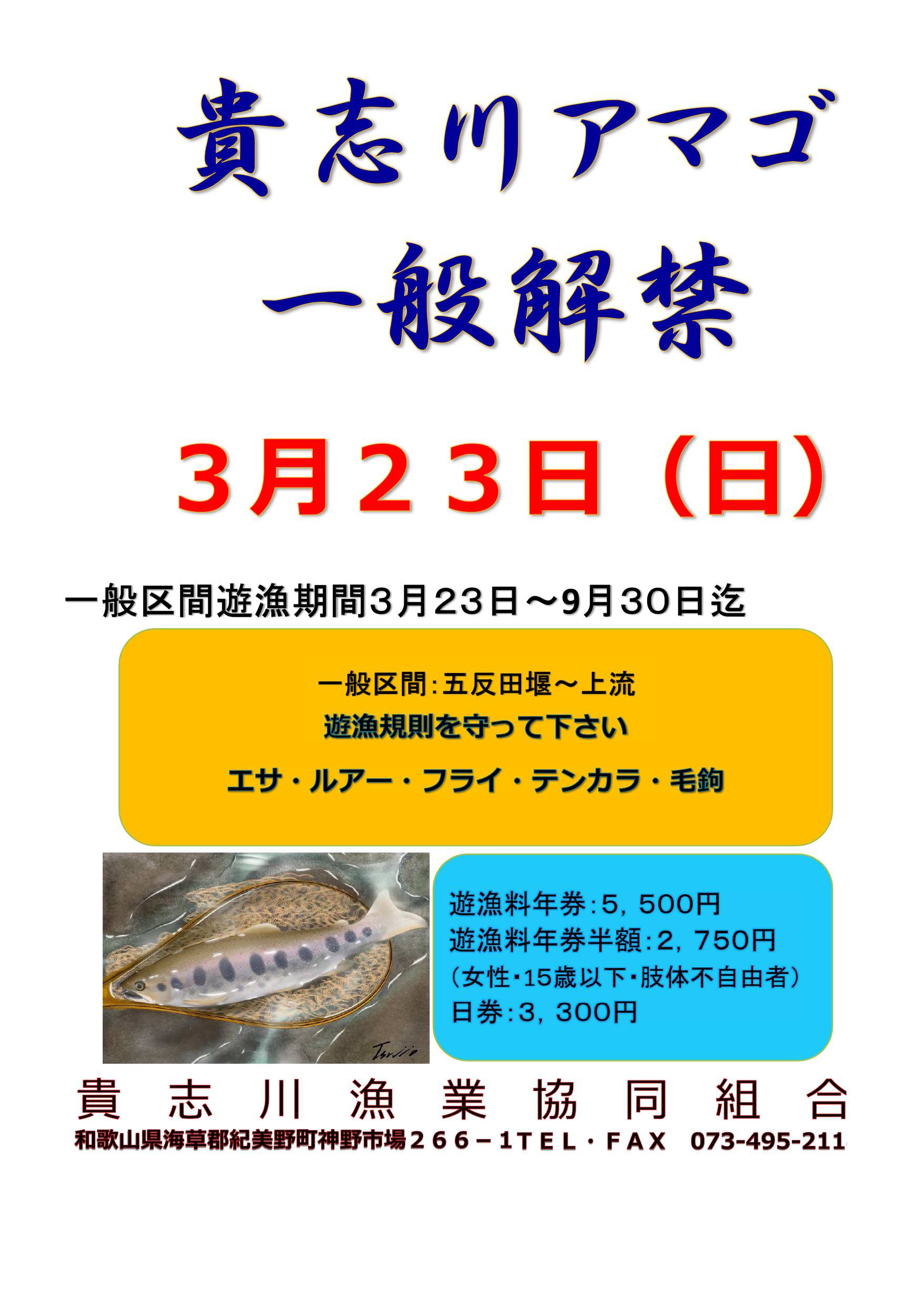 貴志川アマゴ一般解禁 2025年