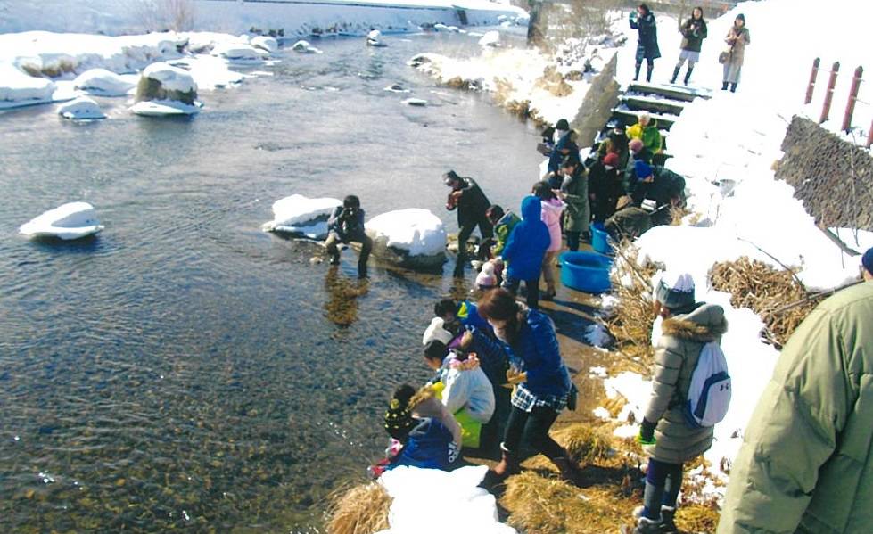 茶畑育成会によるサケ稚魚放流