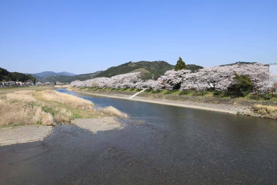 2fc386fcdea8b7d6df4c6101e844875e