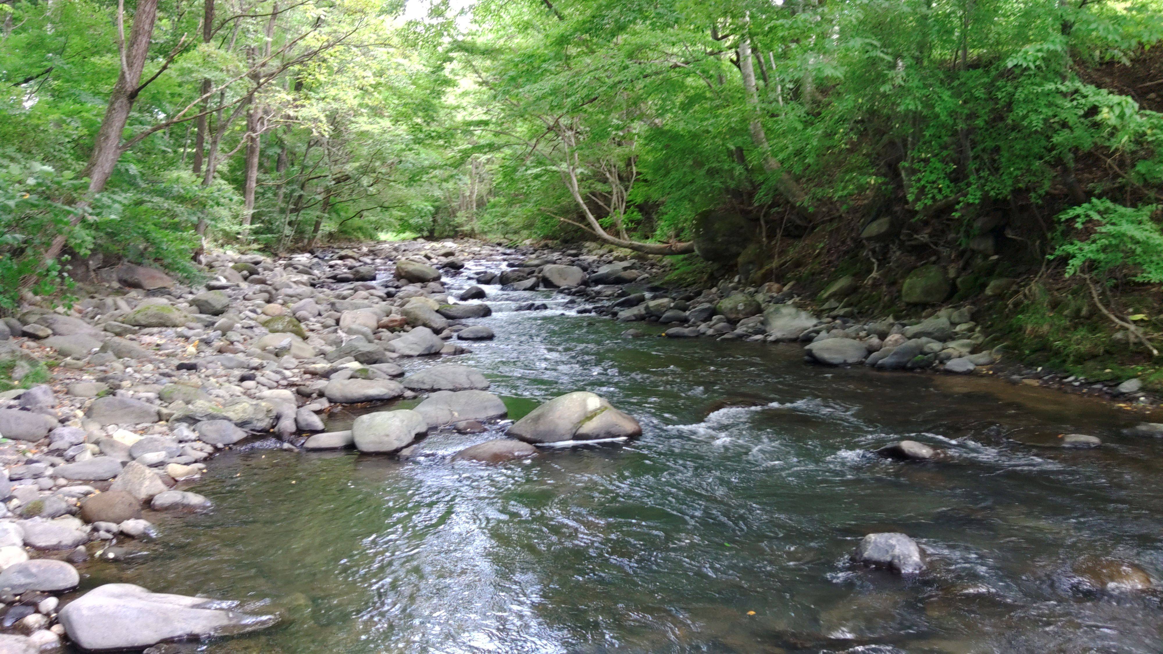 諏訪東部漁協_案内写真1