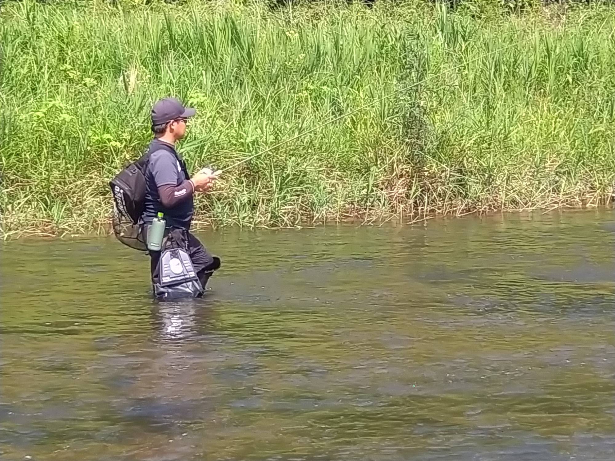 ここに画像のタイトルを入れる