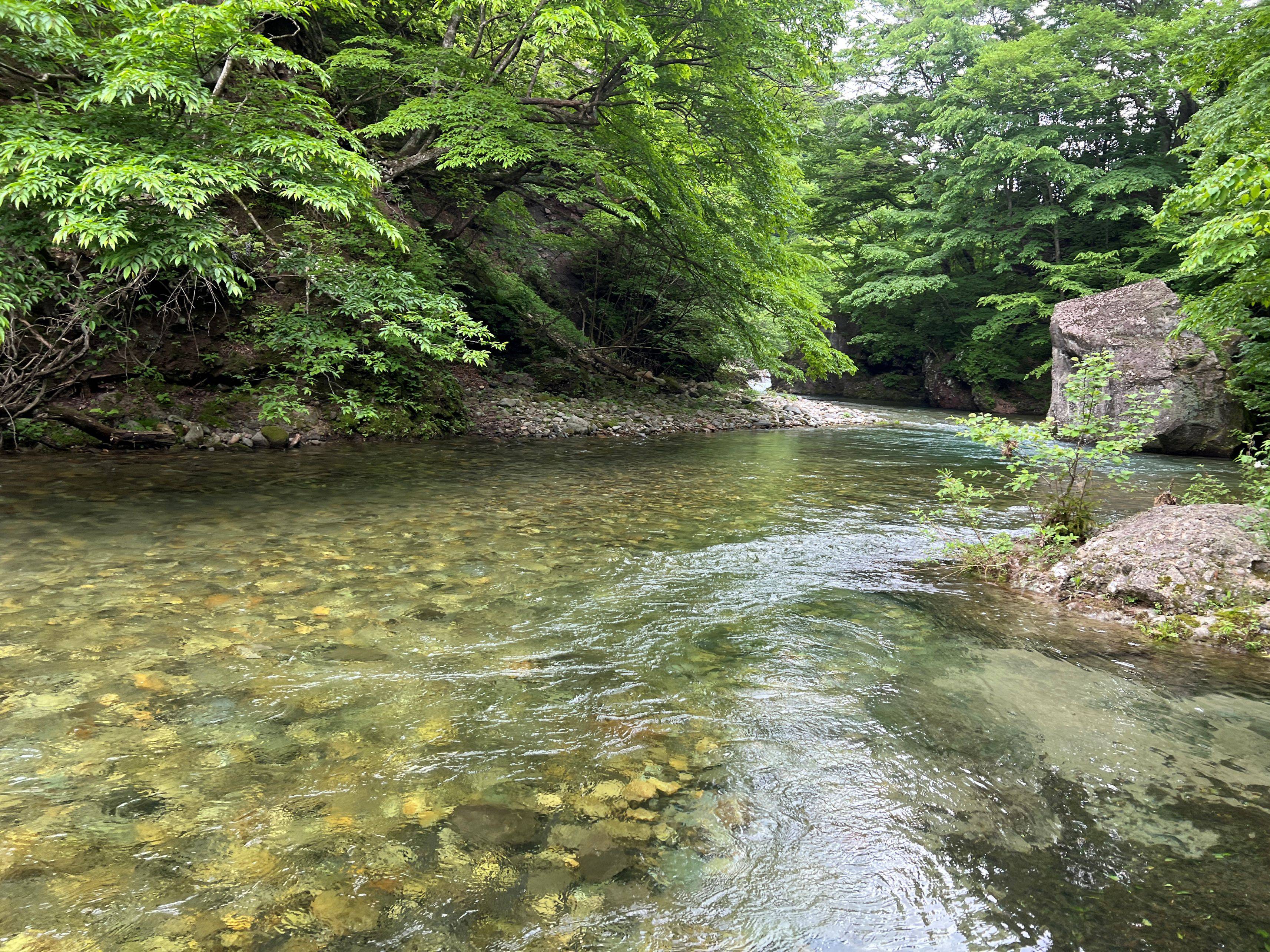 渓相画像③