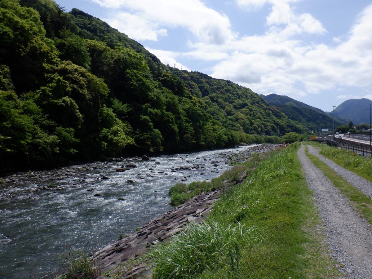 横山堰堤カミ