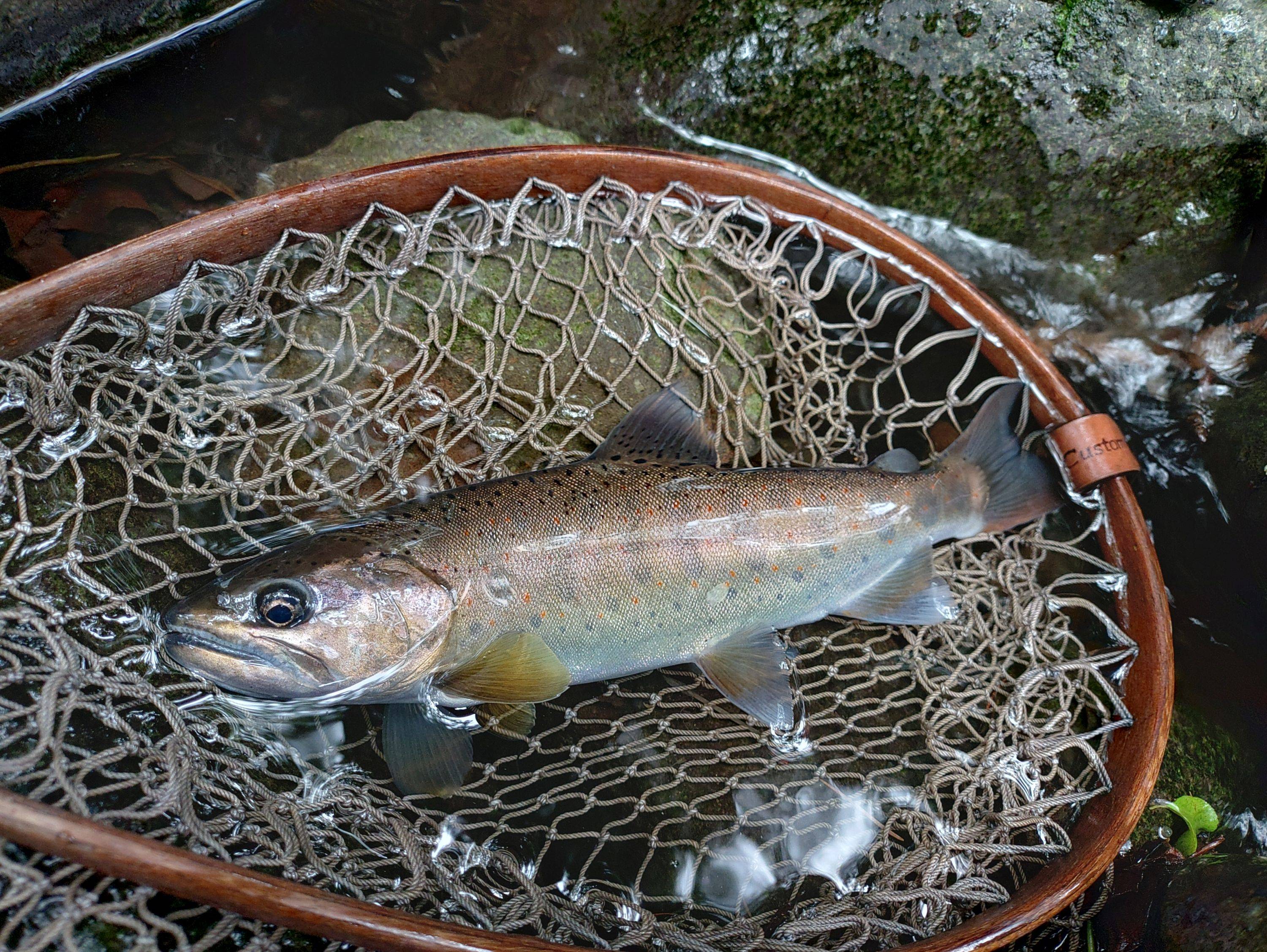 諏訪東部漁協_案内写真5