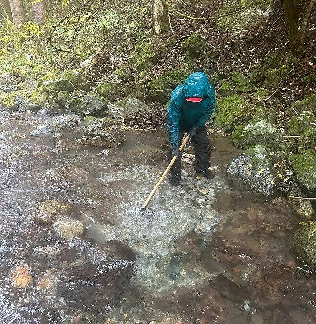 イワナ産卵床つくり