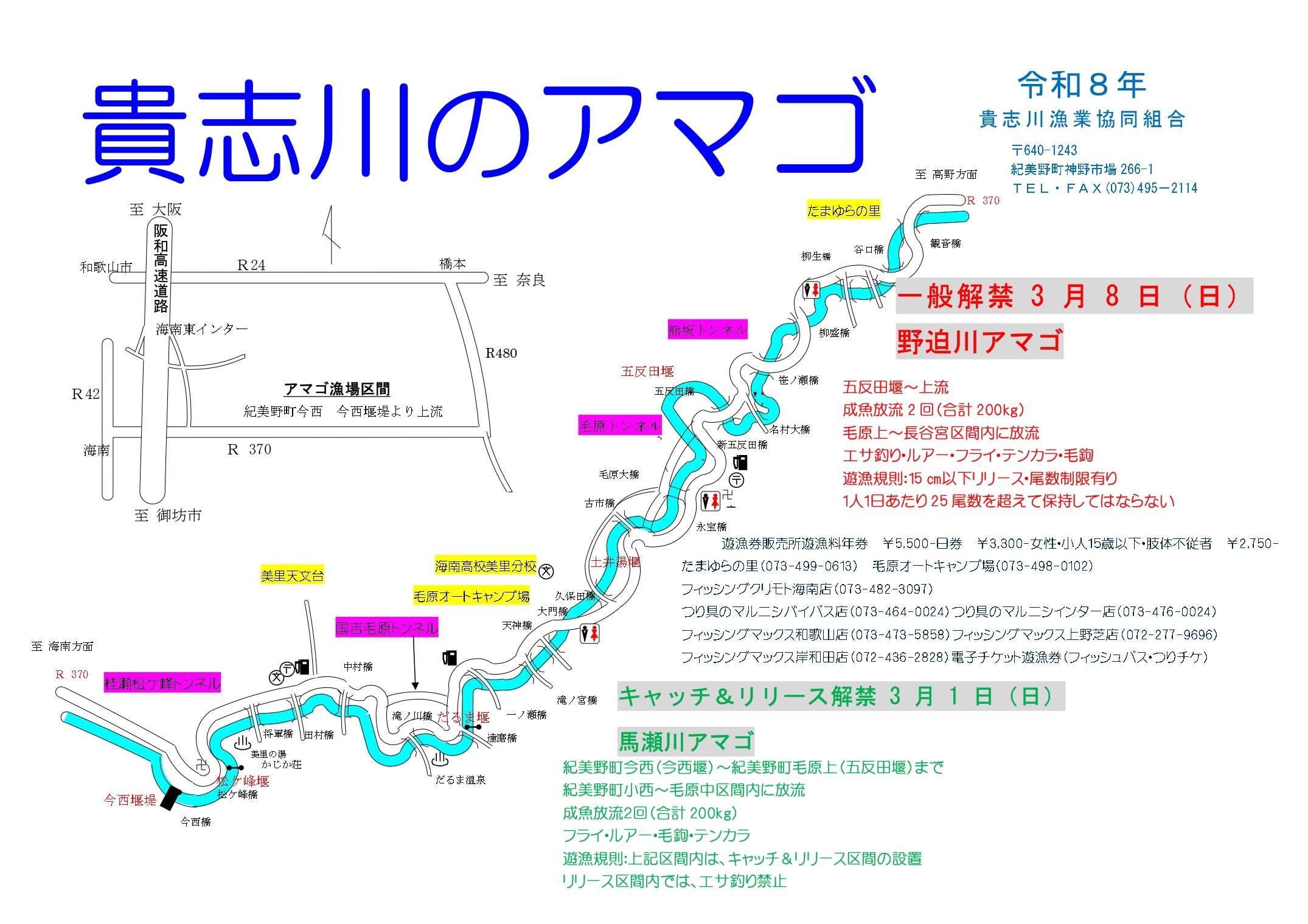 貴志川のアマゴ 2026年