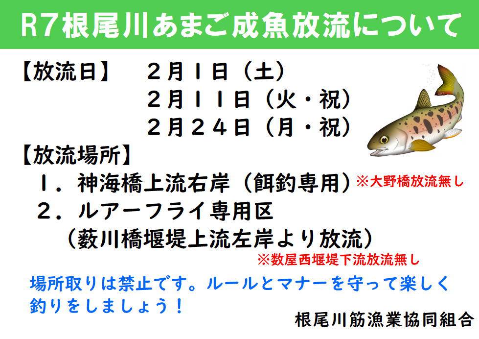 2025あまご成魚放流場所