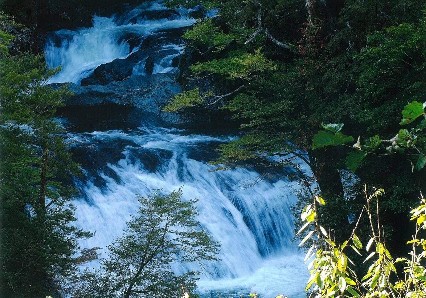 早口川上流泊滝