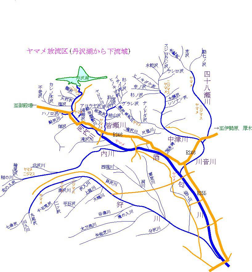 ヤマメ放流区：丹沢湖から下流の渓流釣り場