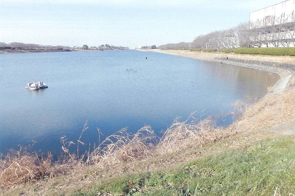 行幸湖（みゆきこ）①