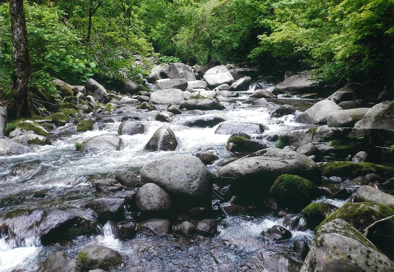 早口川支流薄市川