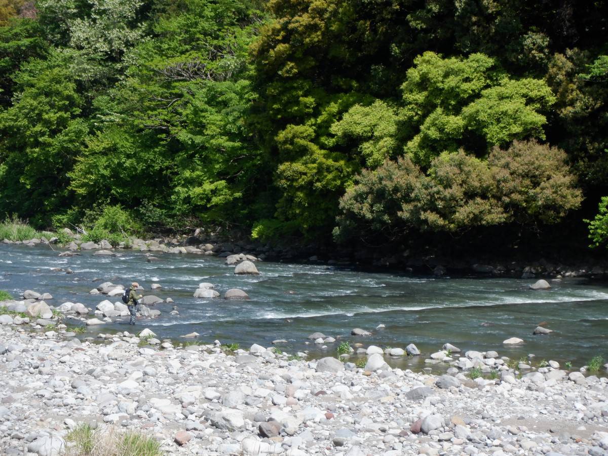 太閤橋カミ